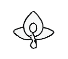 Anal