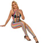 952358 RAINBOW MESH HALTER NECK BODYSTOCKING XS/M - Image 5