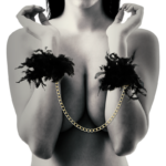 HANDCUFFS DELUXE - Image 2